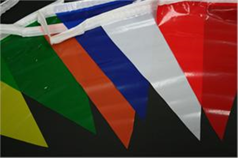 Pennant Flag String